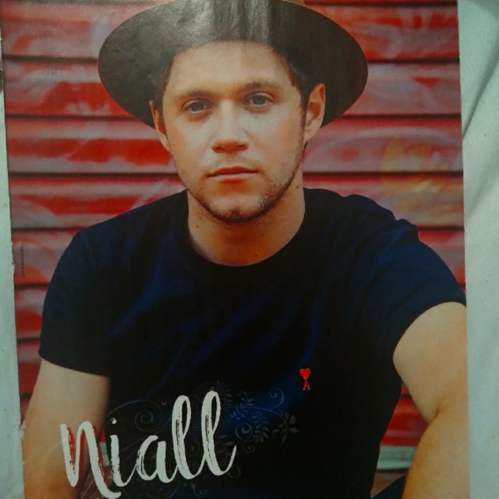 J-14 Small Niall Horan/Sabrina Carpenter Poster